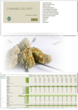 cannabis delivery financial model
