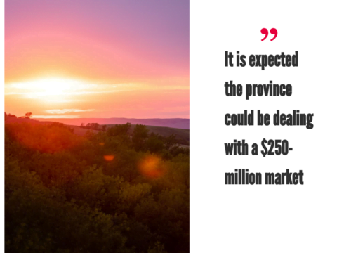 Saskatchewan Cannabis Market