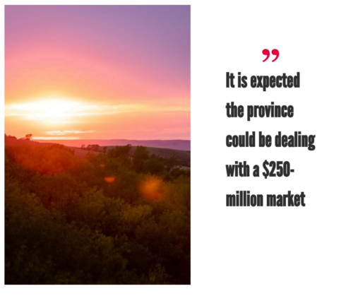 Saskatchewan Cannabis Market