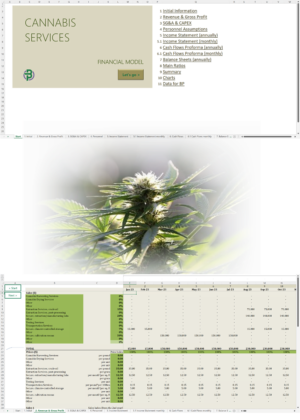 Cannabis Services Financial Model