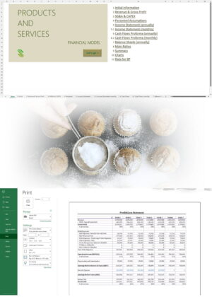 Products and Services Financial Model