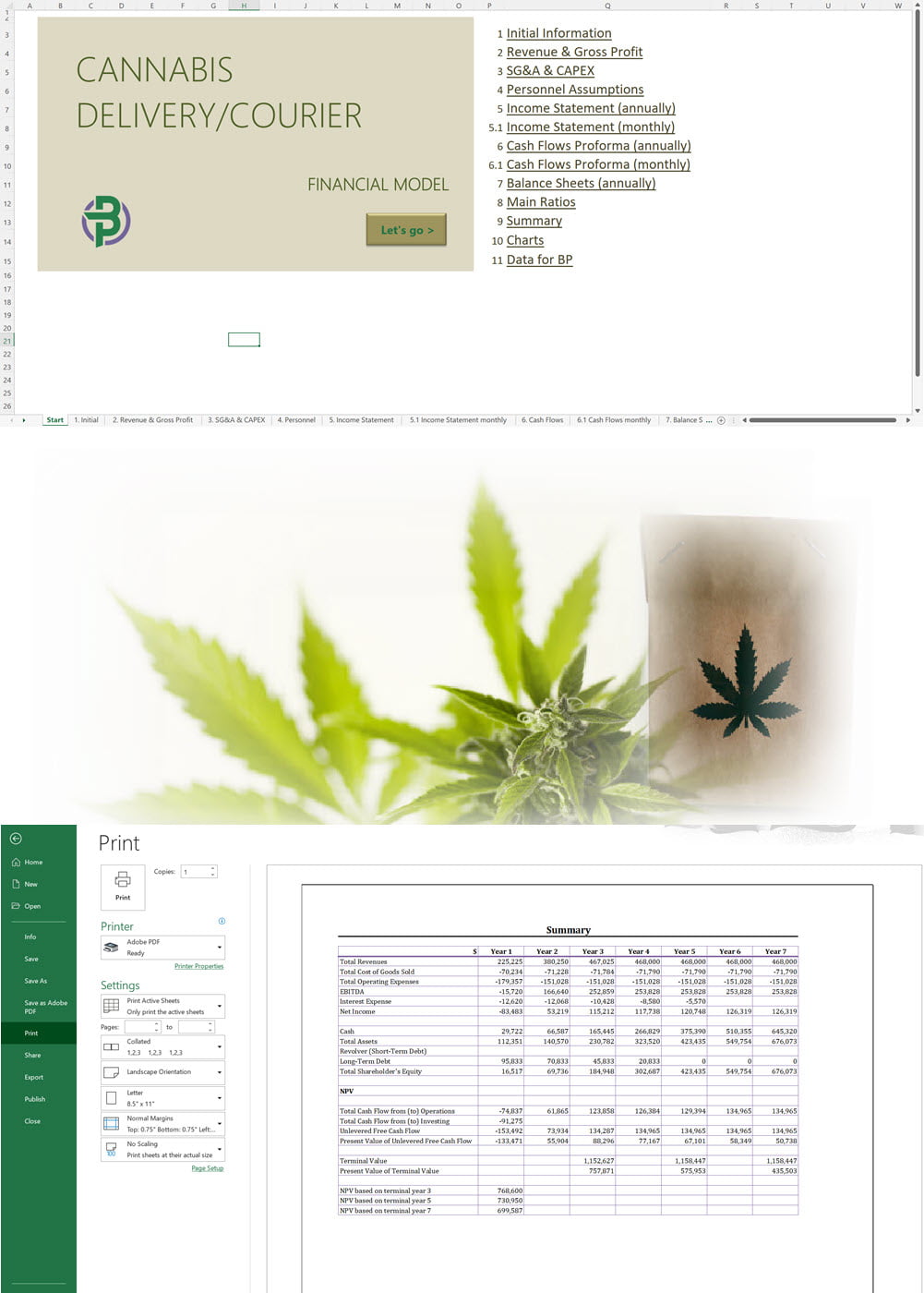 cannabis courier financial model