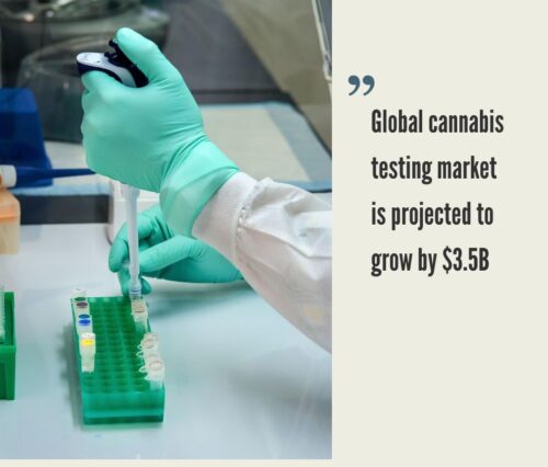 Cannabis Testing Market