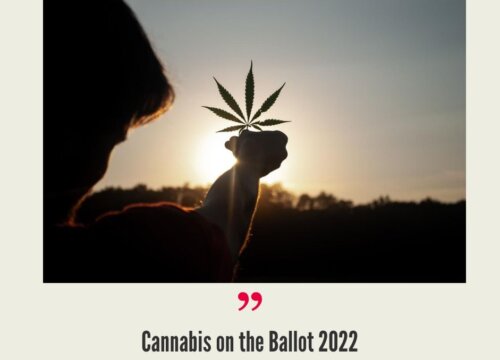 2022 Cannabis Reform Ballot