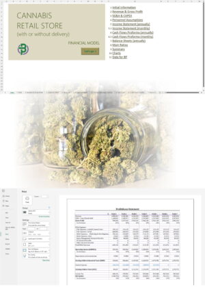 cannabis retail financial model