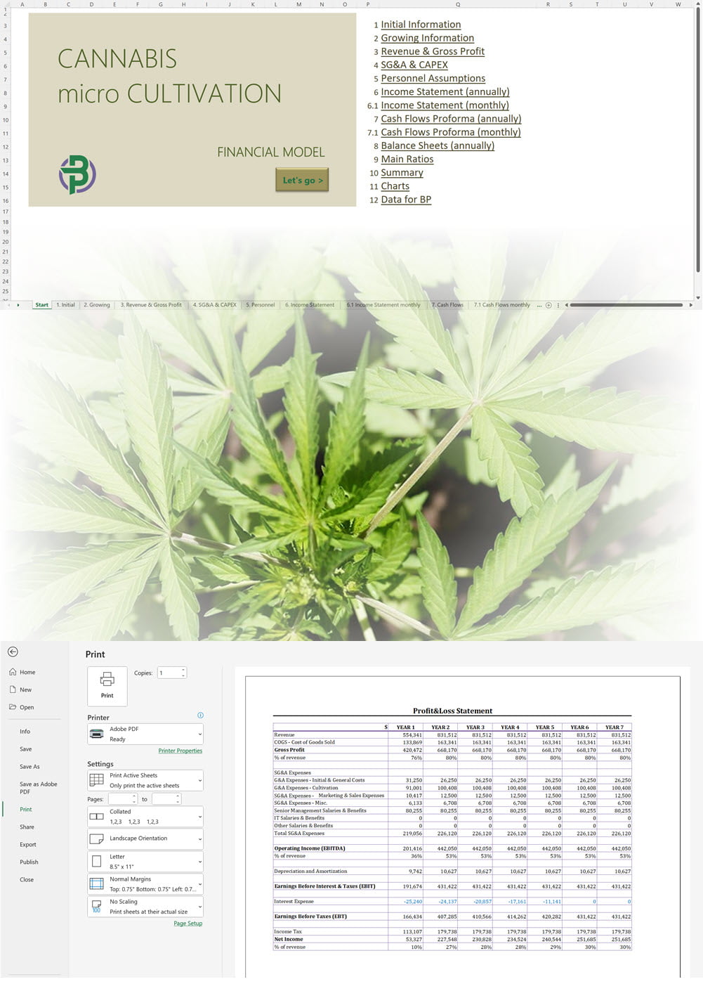 Cannabis Micro Cultivation Financial Model