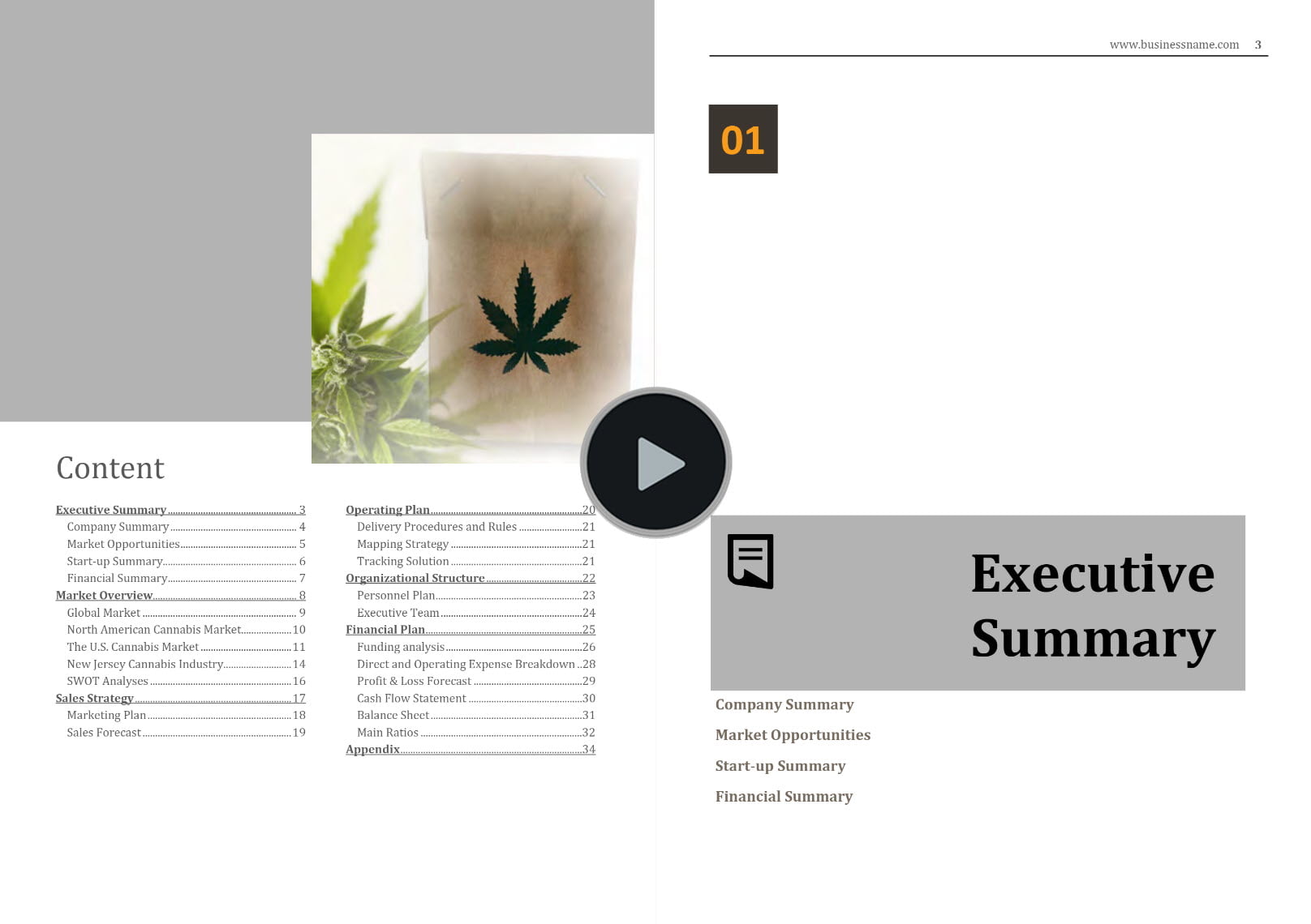 cannabis courier business plan template