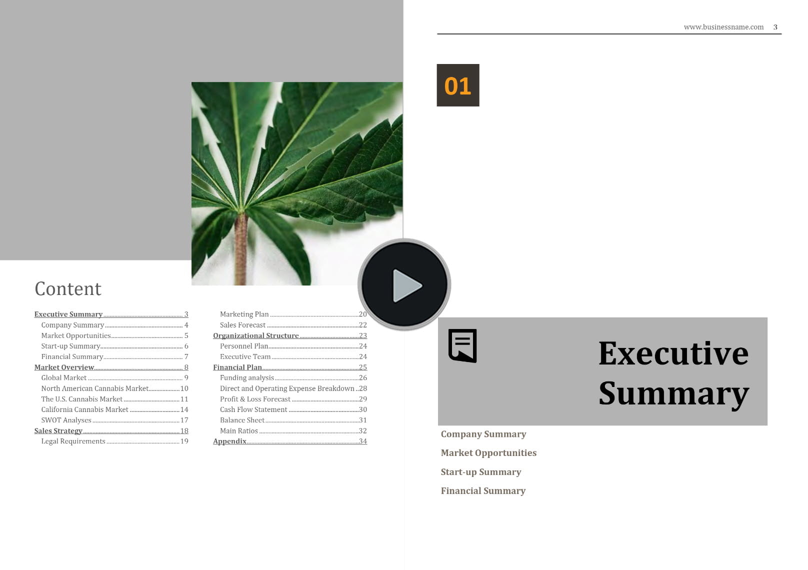 Cannabis Event Organizer Business Plan