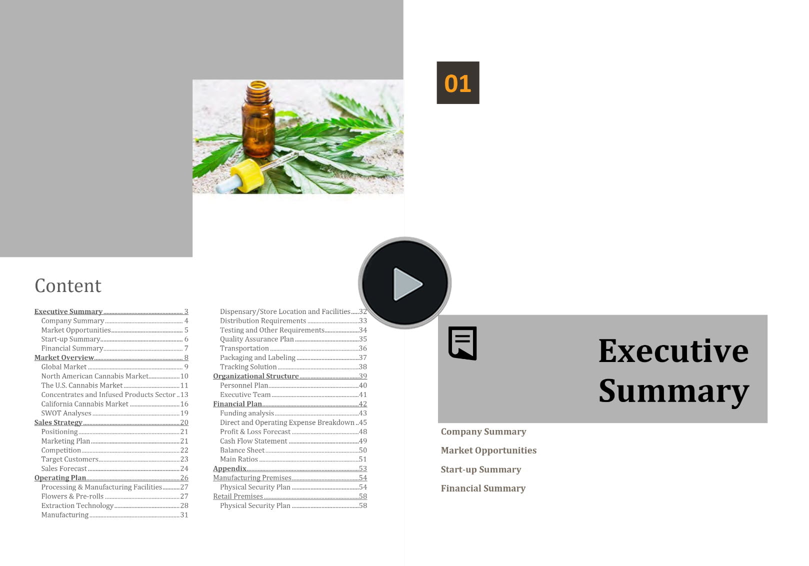 Cannabis Microbusiness Manufacturing Distribution Retail Business Plan