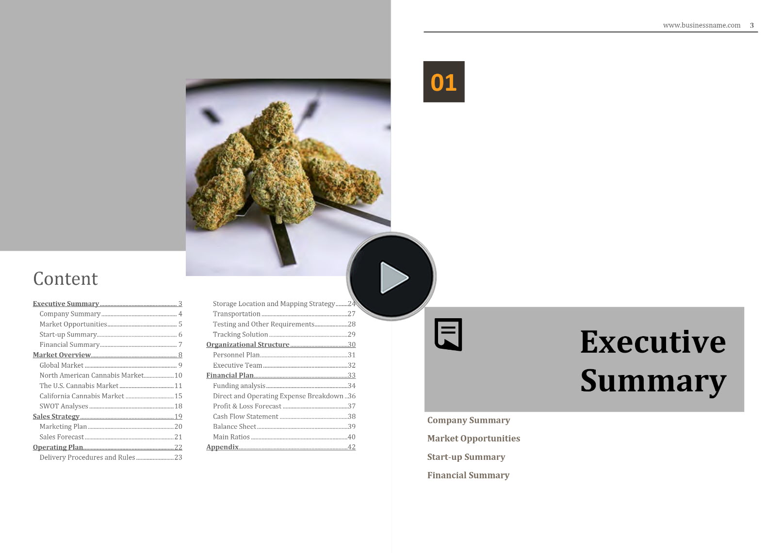 cannabis delivery business plan