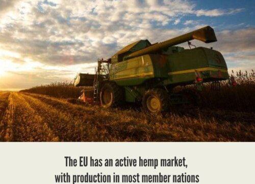 European Hemp CBD Market, Legalization and Opportunities