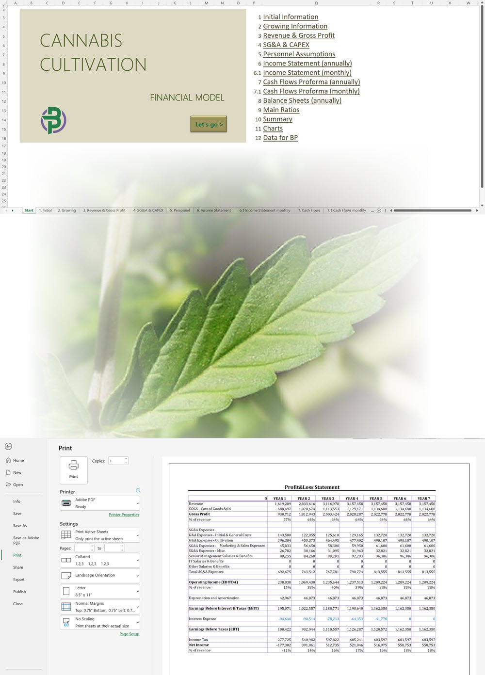 Cannabis Cultivation Financial Model Business Plan Templates 5621