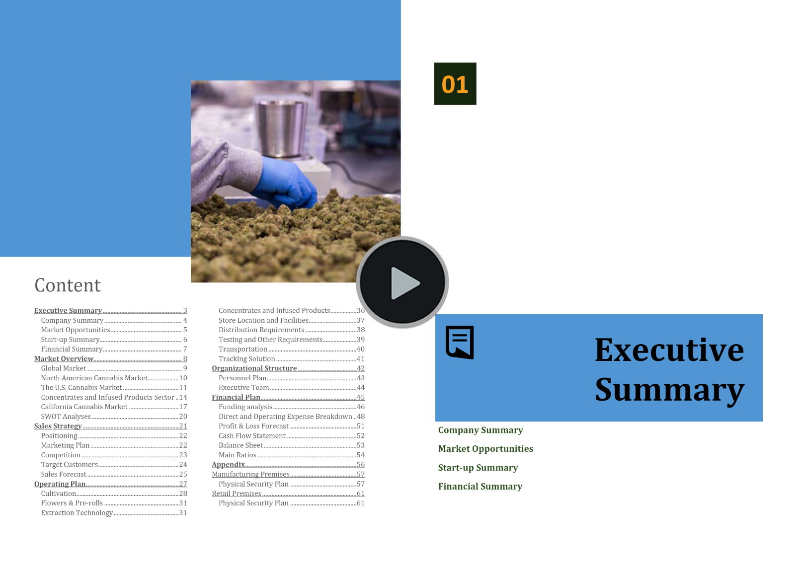 Cannabis Business California