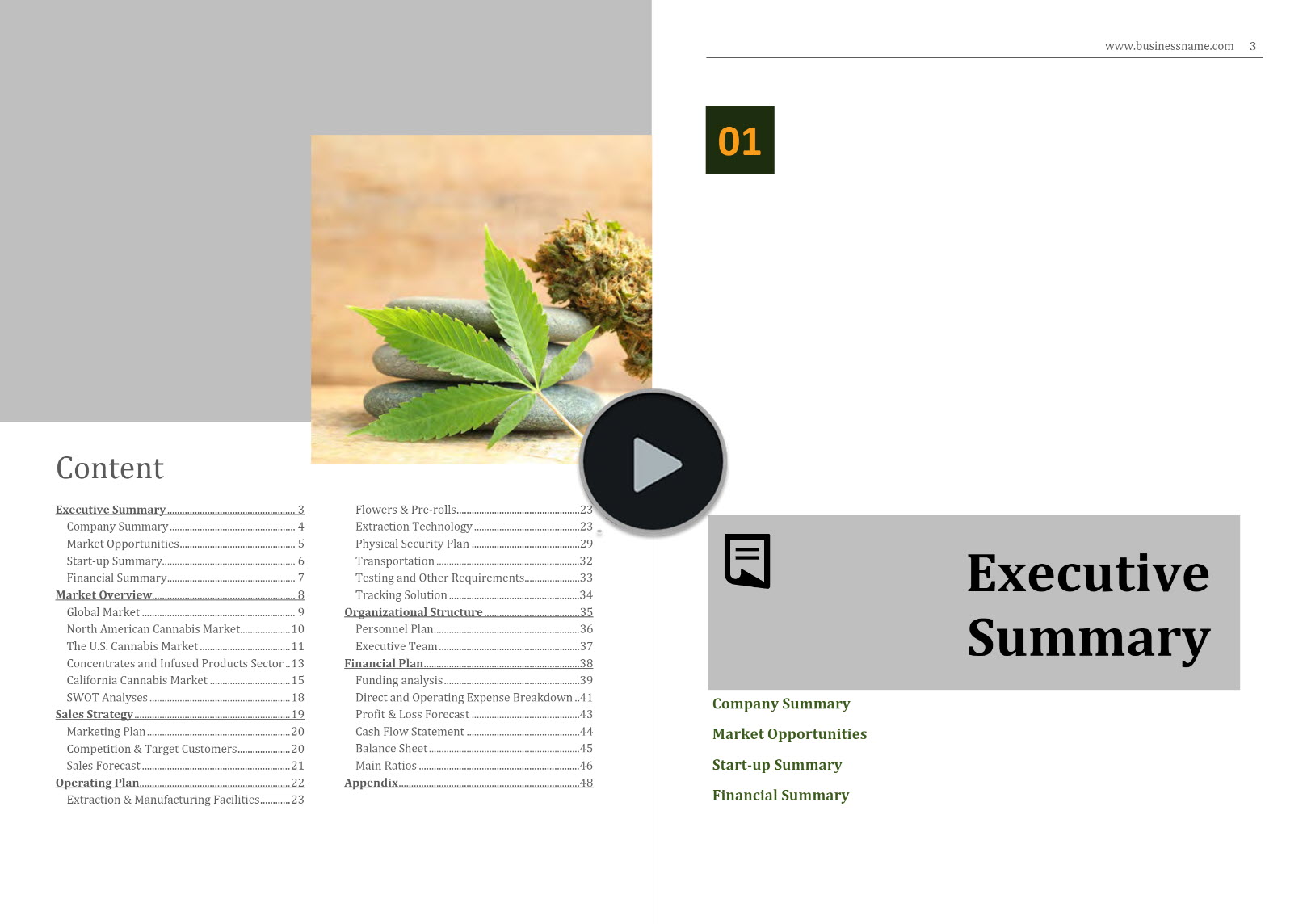 Cannabis Flowers Pre-rolls Concentrates Business Plan