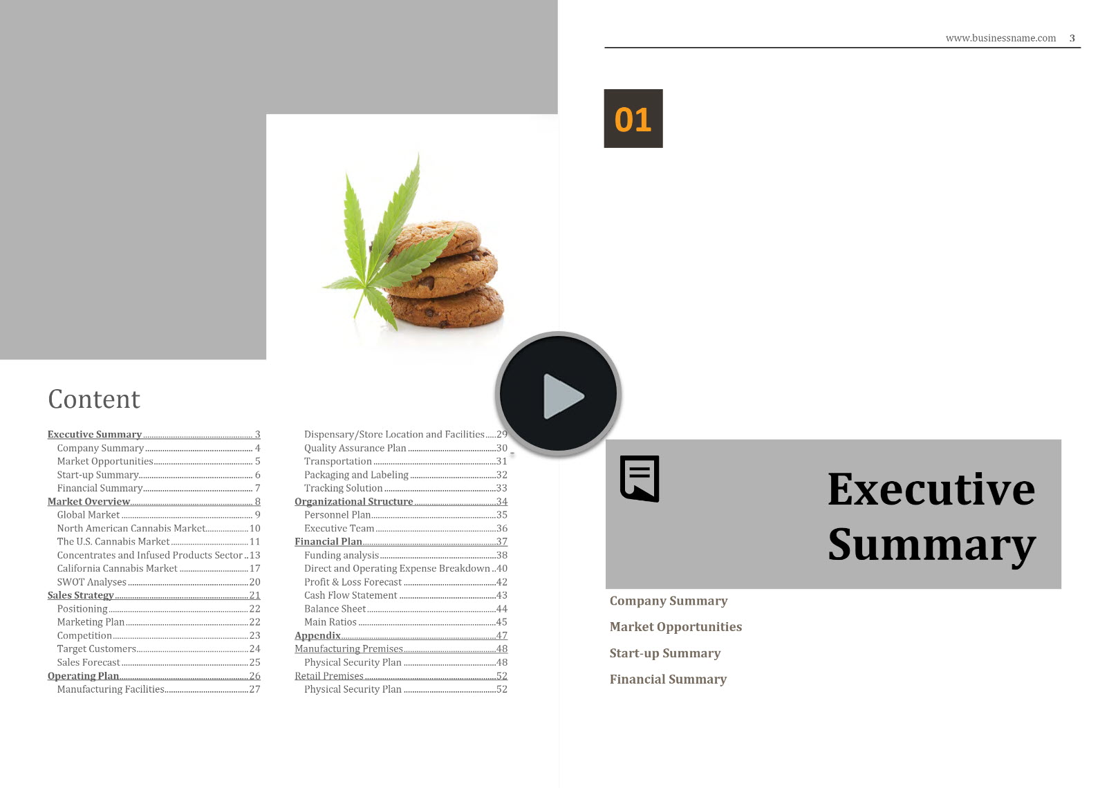 Cannabis Manufacturing Distribution Retail Business Plan Template