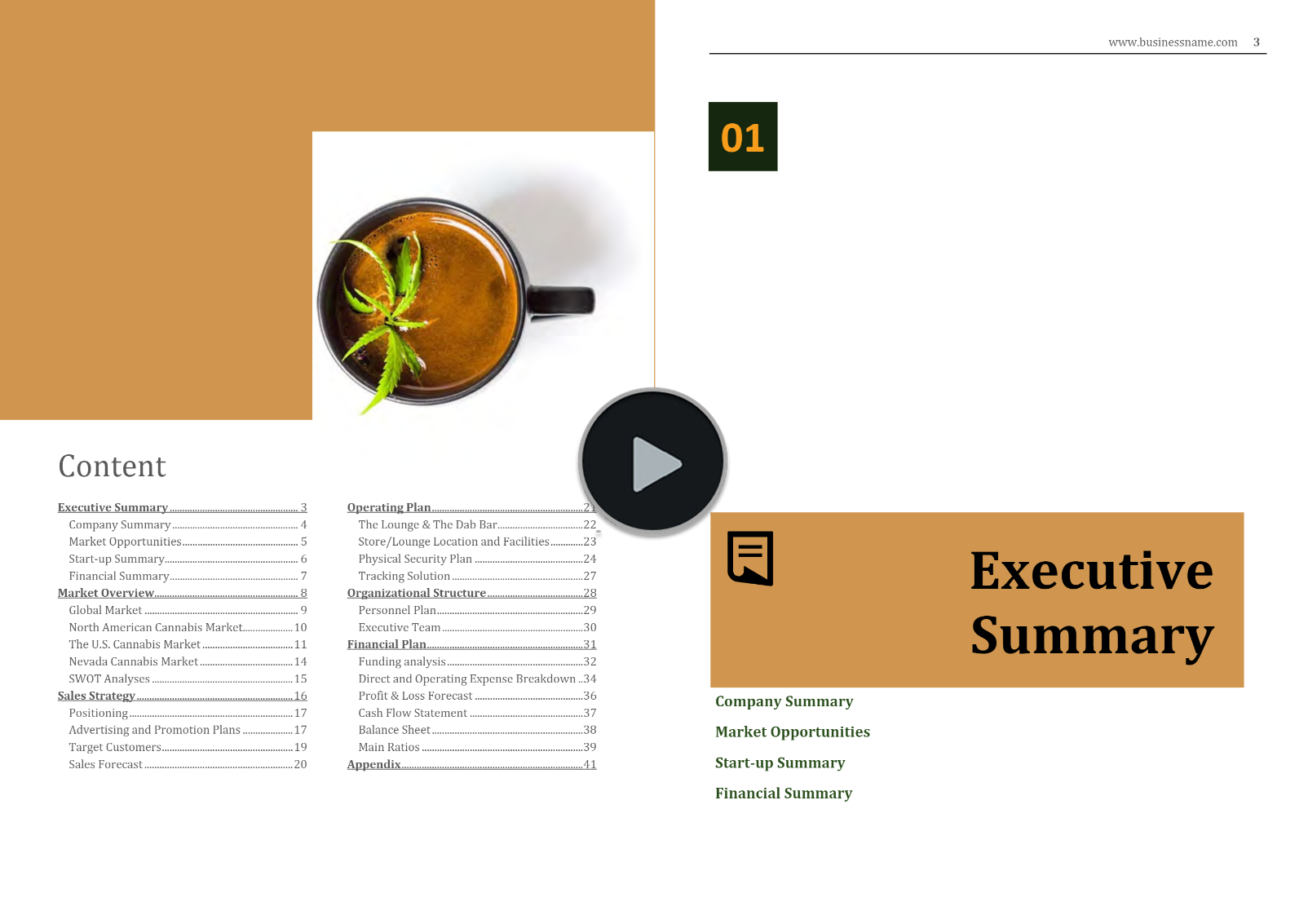 How to Start a Legal Cannabis Business in Nevada?