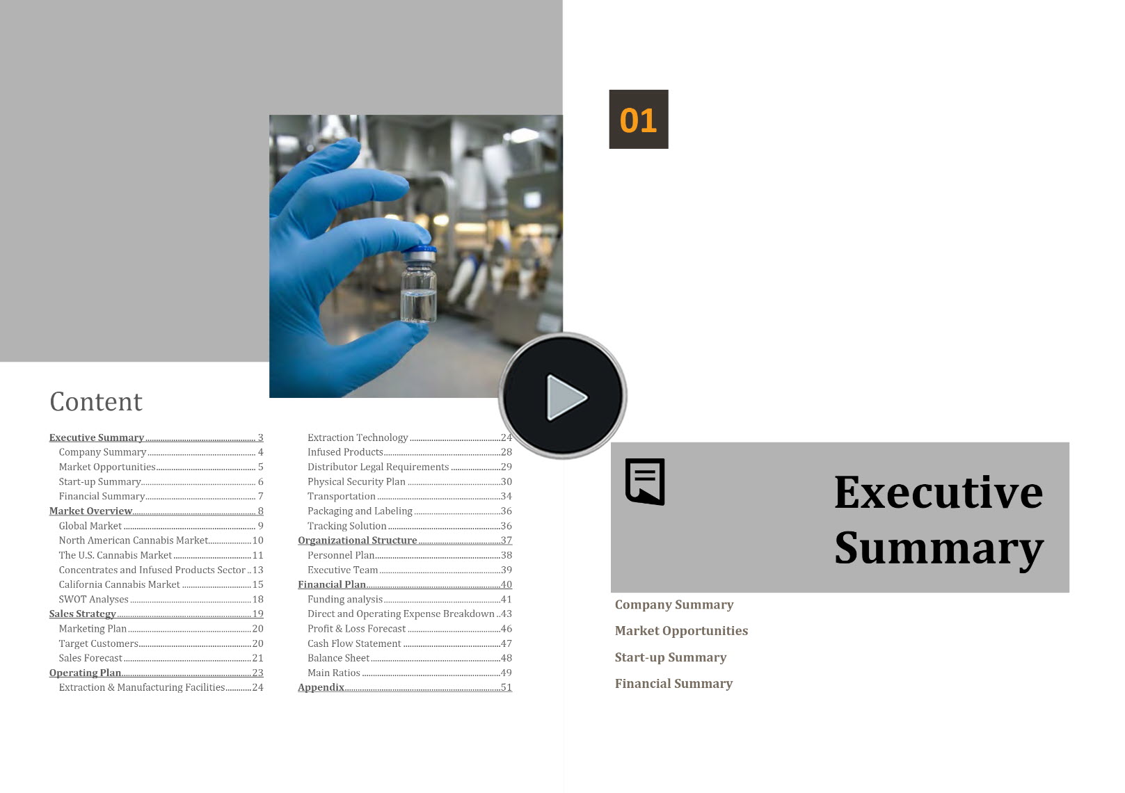 Cannabis Manufacturing Distribution Business Plan Template