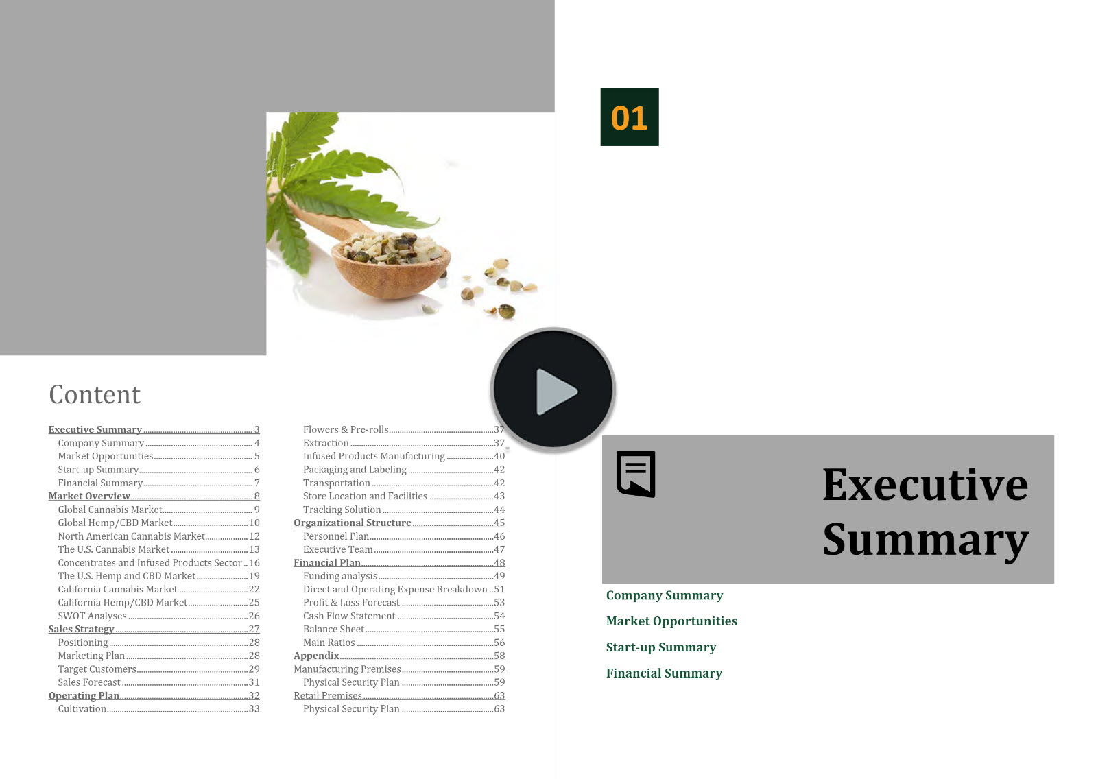 Hemp Cannabis Vertically Integrated Business Plan Template