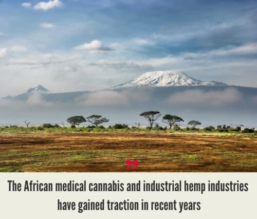 Africa Cannabis Market