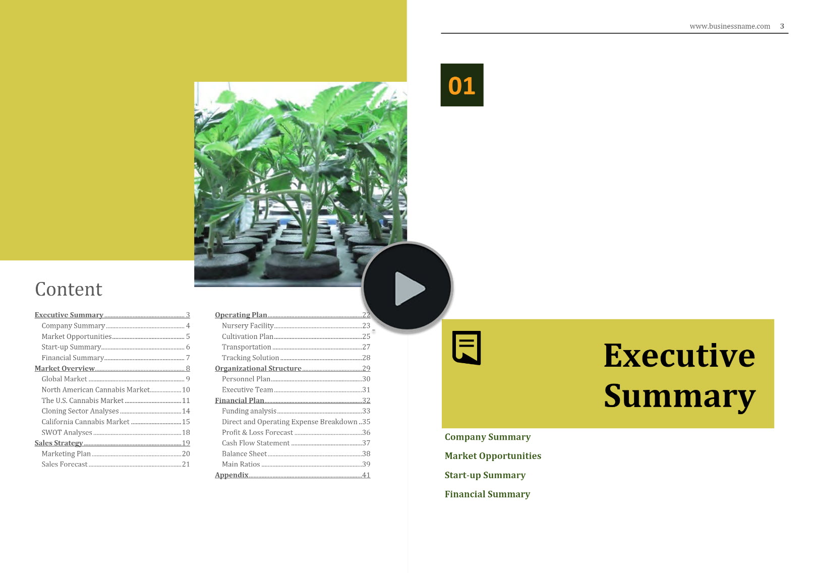 cannabis clones nursery business plan