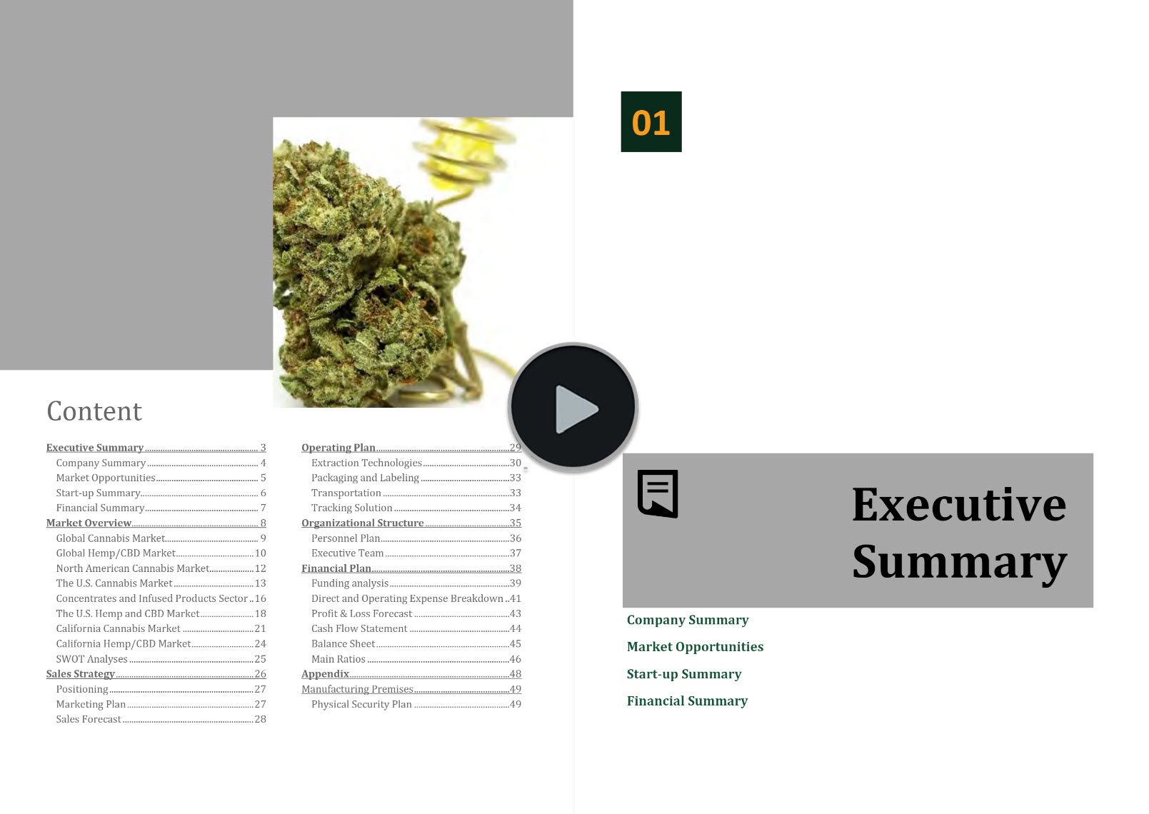 Hemp Cannabis Extraction Business Plan Template
