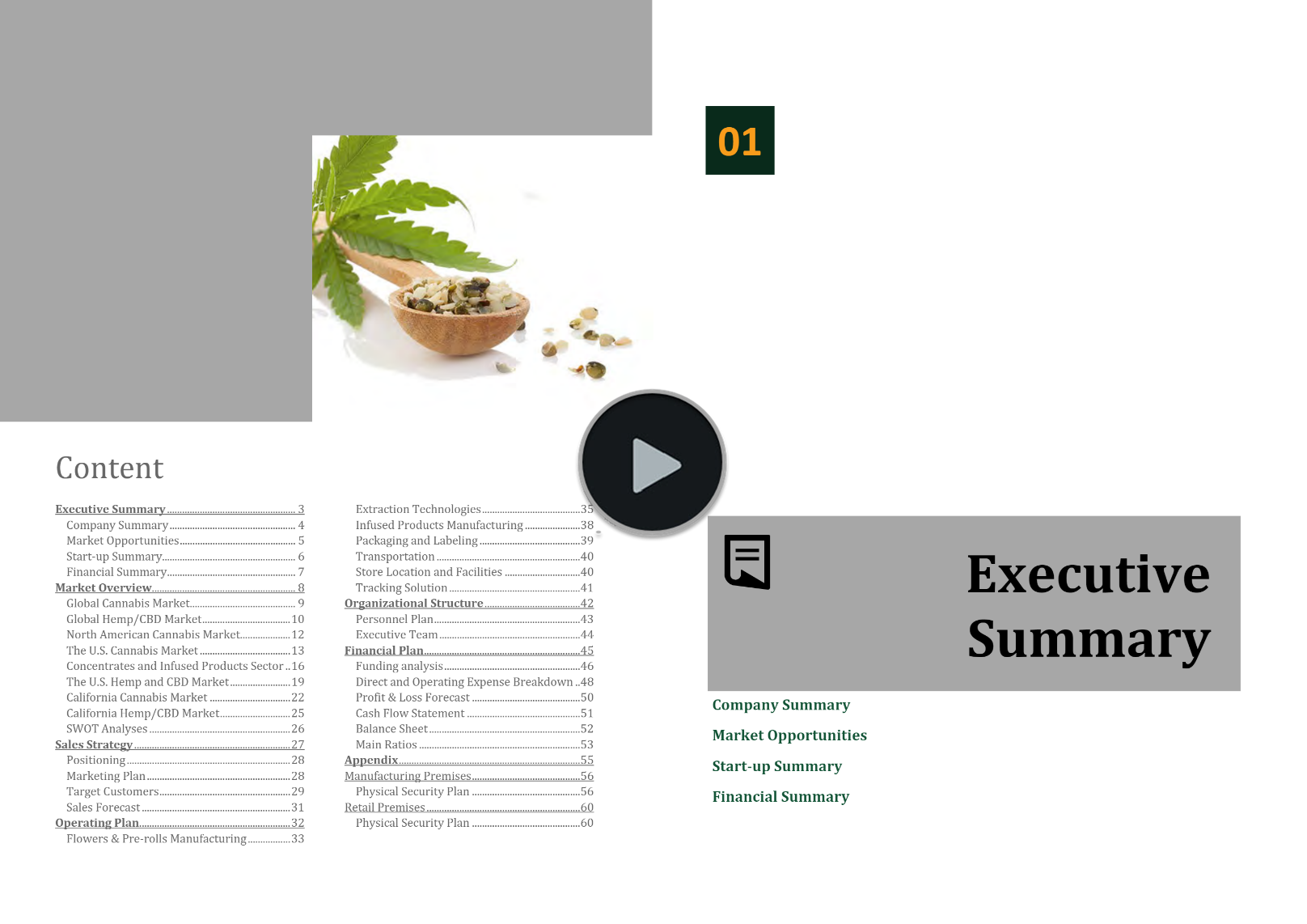 Hemp Cannabis Manufacturing Retail Business Plan Template