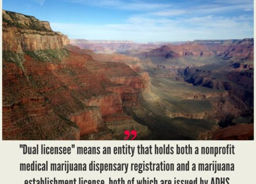 How to Start a Cannabis Business in Arizona?