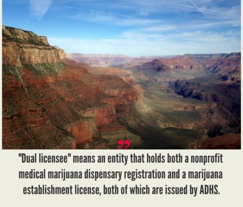 How to Start a Cannabis Business in Arizona?