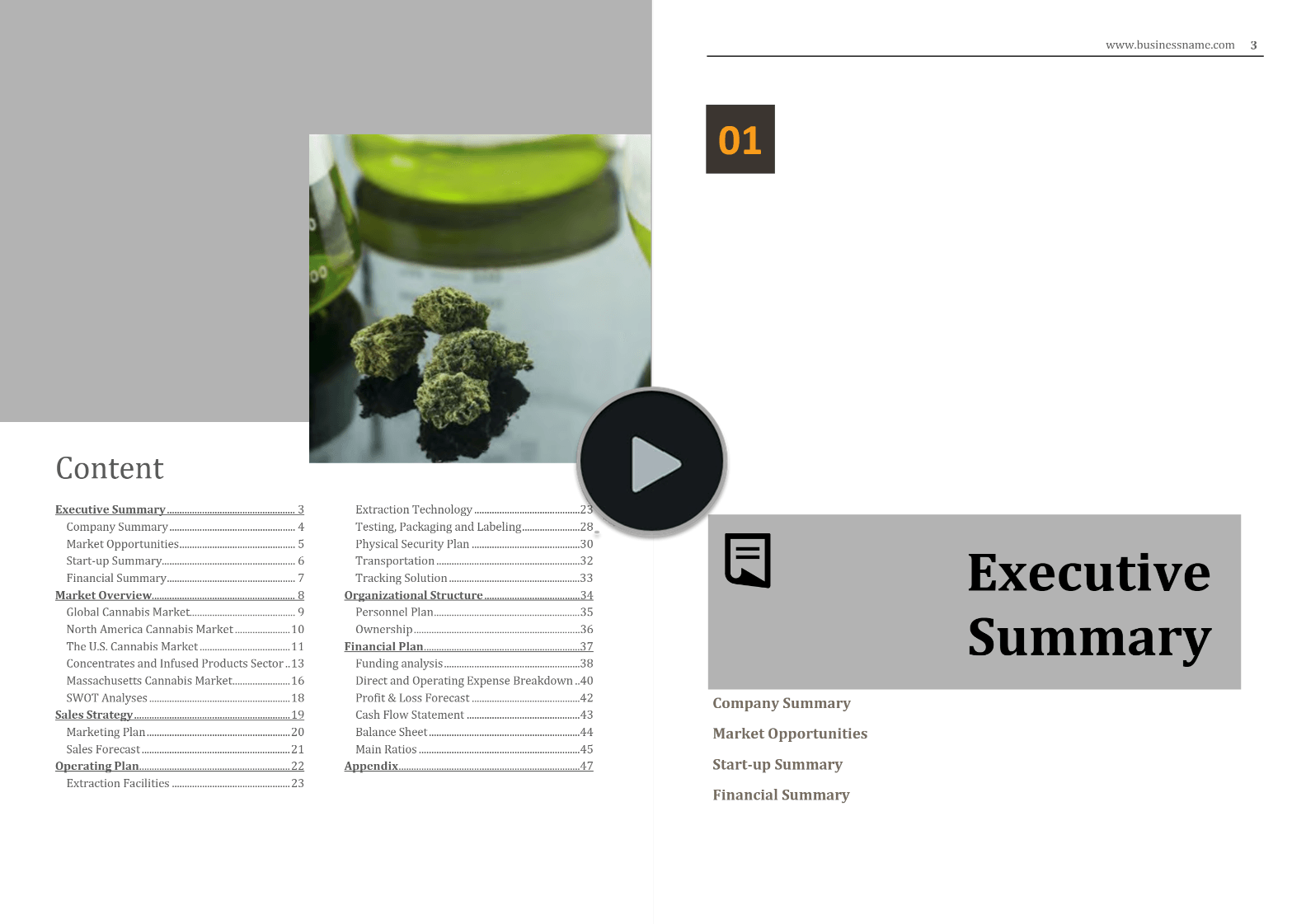 Cannabis Manufacturing Microbusiness Business Plan Template