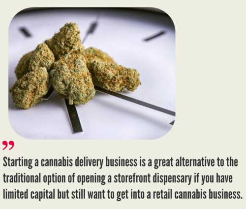 How Much Does it Cost to Start a Cannabis Delivery Business?