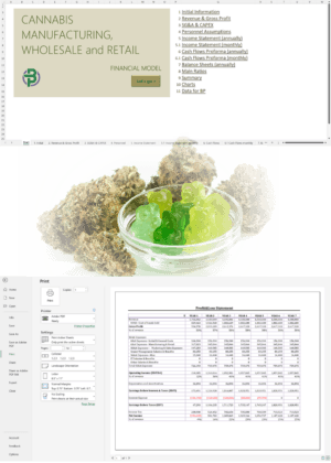 Cannabis Manufacturing Wholesale Retail Financial Model