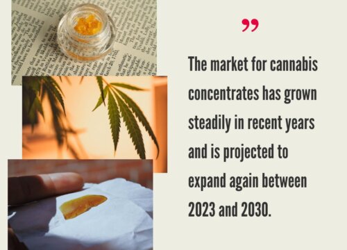 How Much Does It Cost to Start a Cannabis Extraction Business?