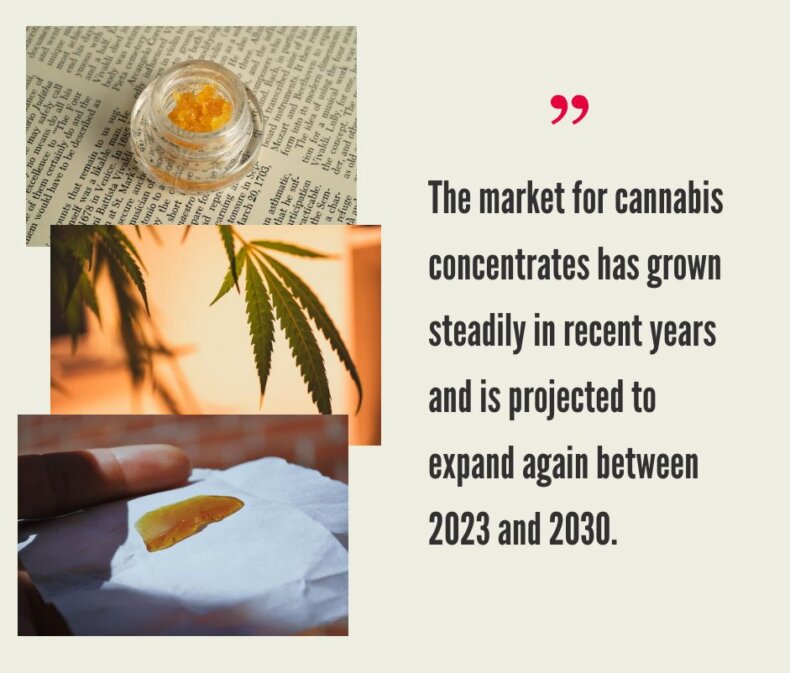 How Much Does It Cost to Start a Cannabis Extraction Business?