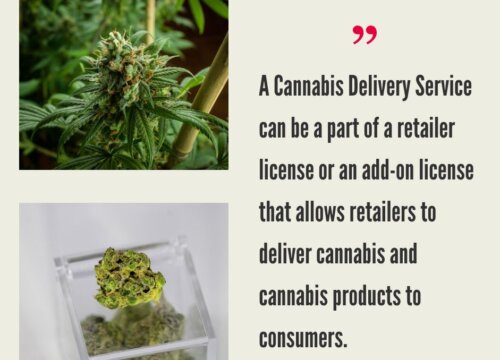Cannabis Delivery Service by State: 2026 Update