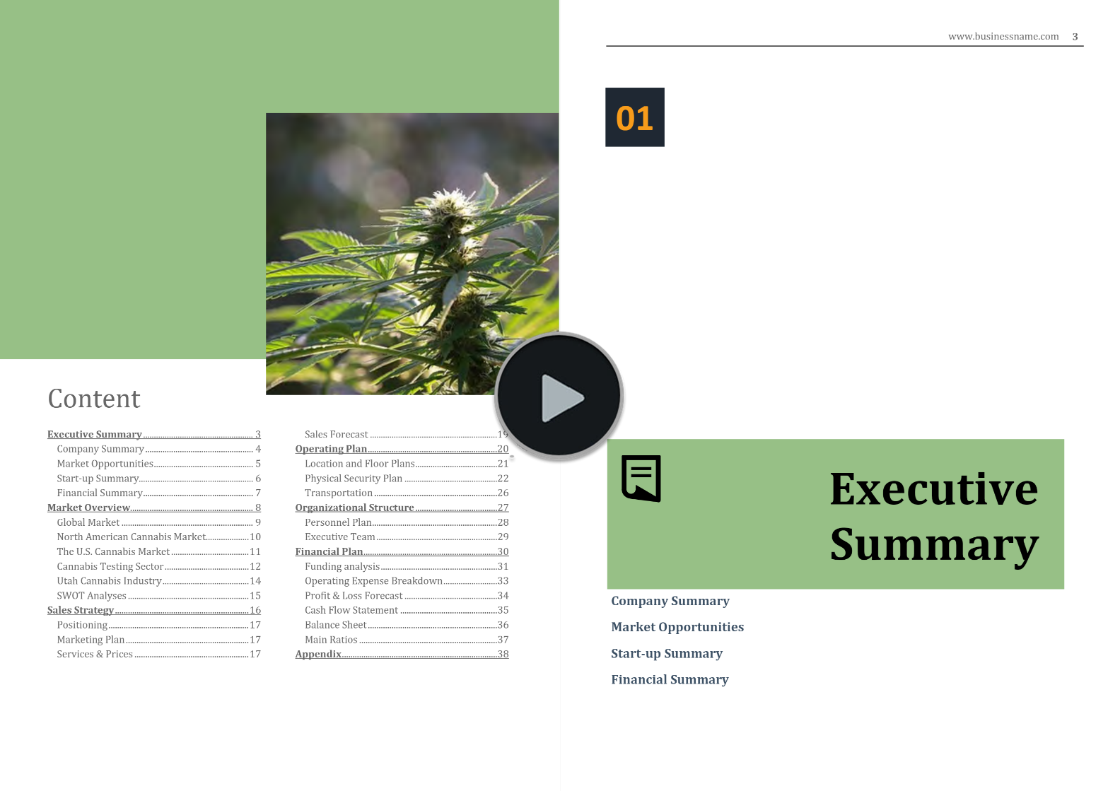 Cannabis Services Business Plan