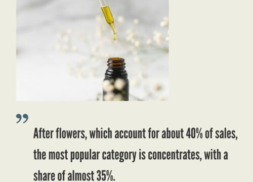 Cannabis Extraction Business: Market and Trends
