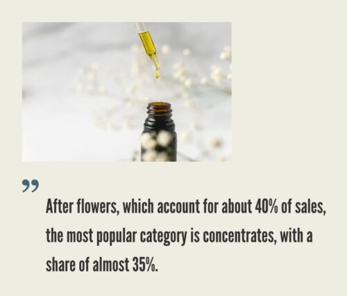 Cannabis Extraction Business: Market and Trends