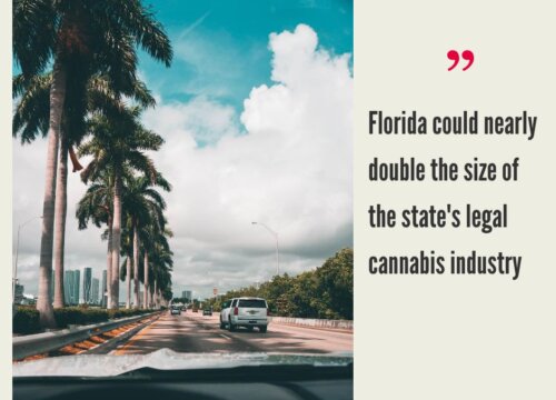 How to Start a Cannabis Business in Florida?