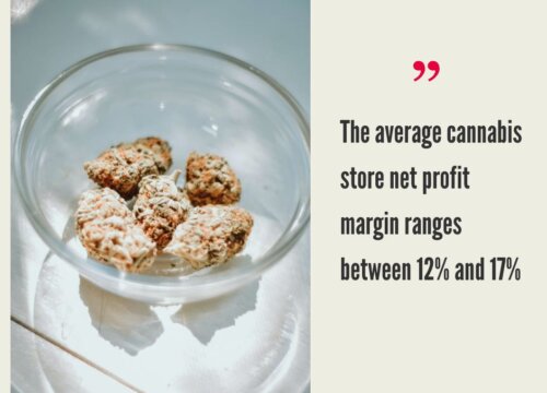 How Much Does it Cost to Open a Cannabis Store?