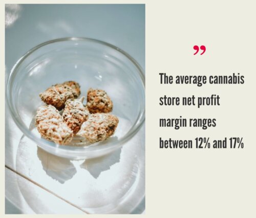 How Much Does it Cost to Open a Cannabis Store?