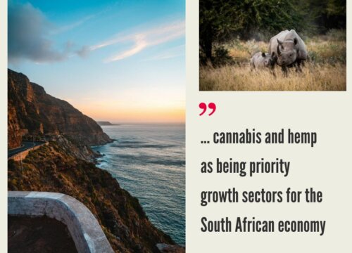 South Africa Cannabis Market