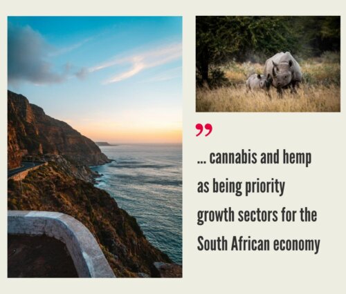 South Africa Cannabis Market