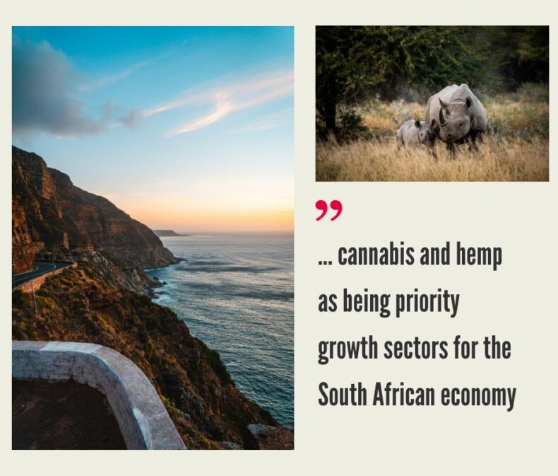 South Africa Cannabis Market