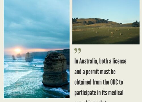 How to Start a Cannabis Business in Australia?