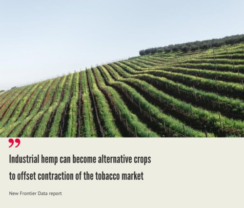 Africa Hemp Market