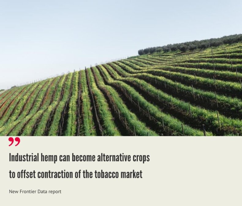 Africa Hemp Market