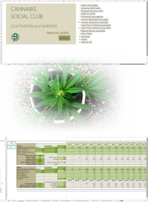 Cannabis Social Club Financial Model