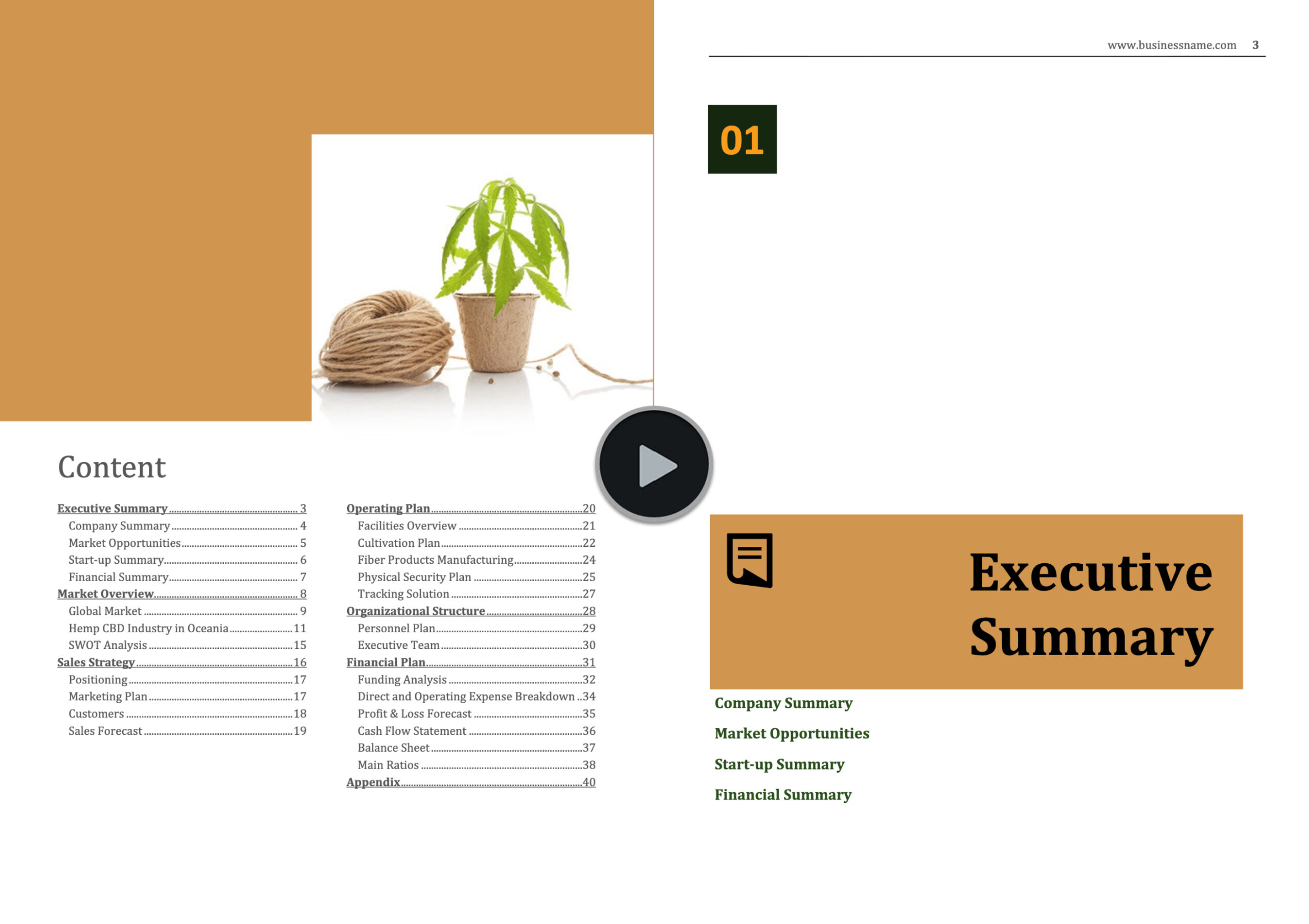 Australia Hemp Fibre Growing and Manufacturing Business Plan Template