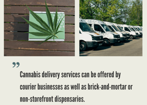 How to Start a Cannabis Delivery Business?