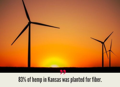 Kansas Hemp Industry
